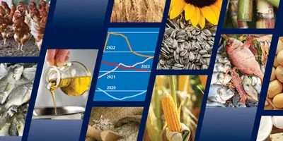 FAO Alimentación